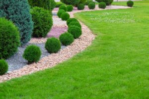 Landscape beds with manicured shrubs surrounded by different types of mulch in McKinney, TX