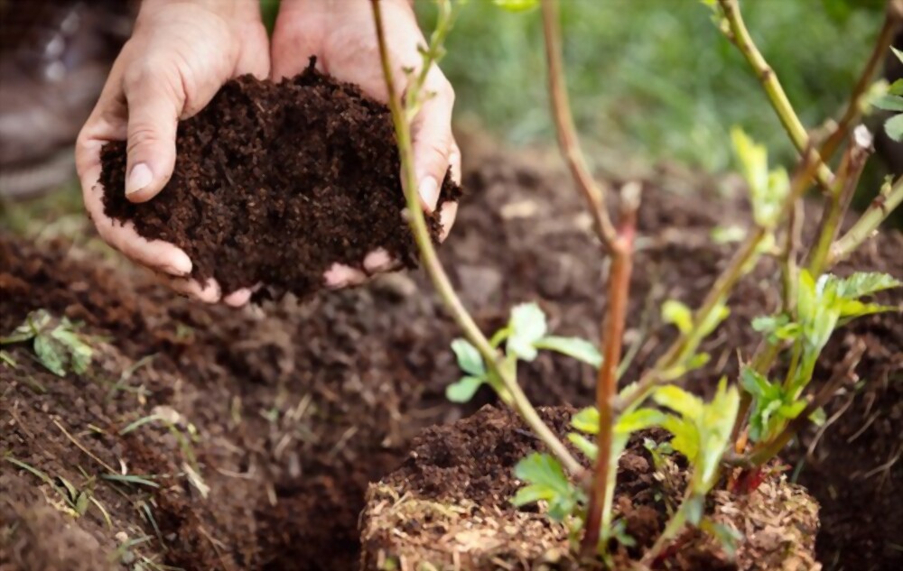 Mulch On The Mind