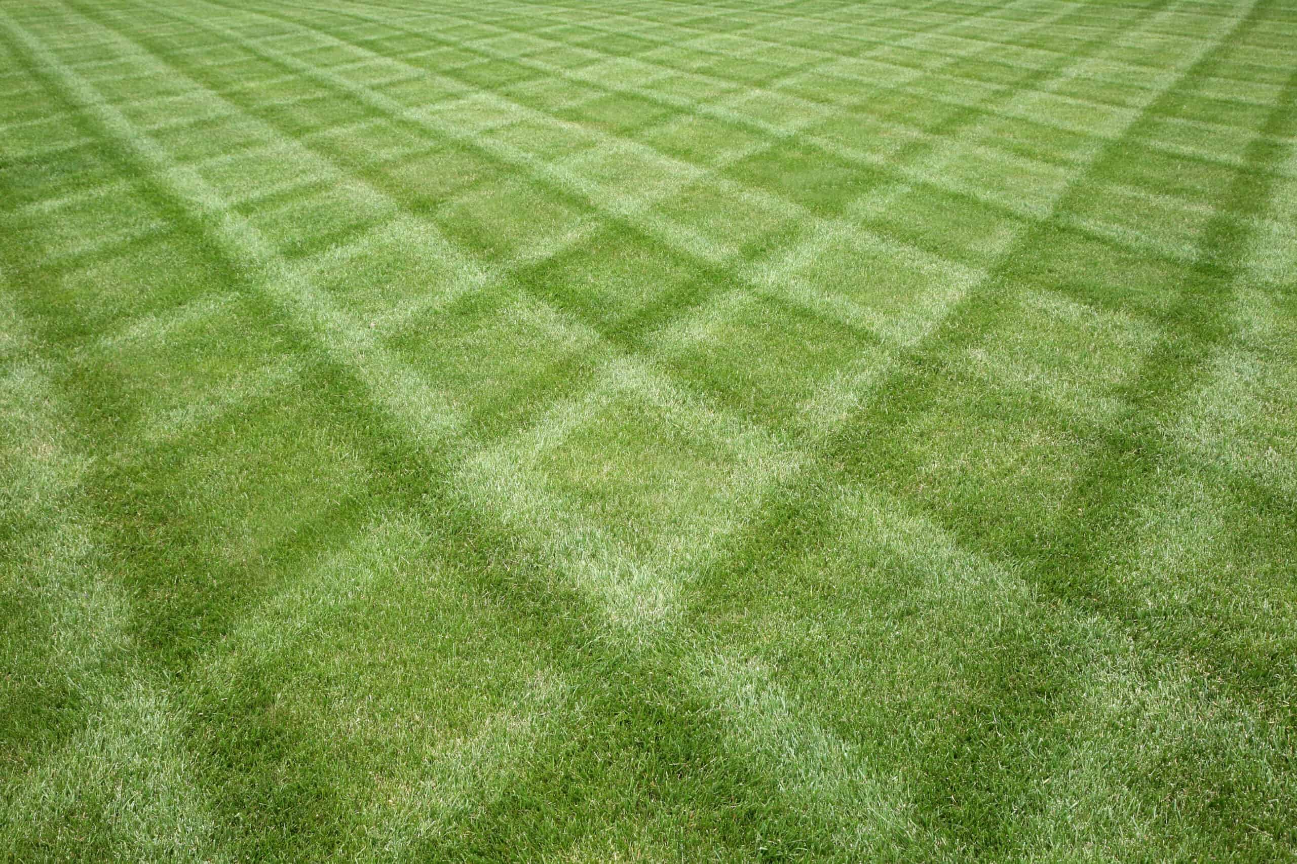 Enhance your outdoor space with our lawn maintenance services. We offer expert lawn care, from mowing and trimming to edging. Contact us today about your McKinney, Frisco, or Prosper property!