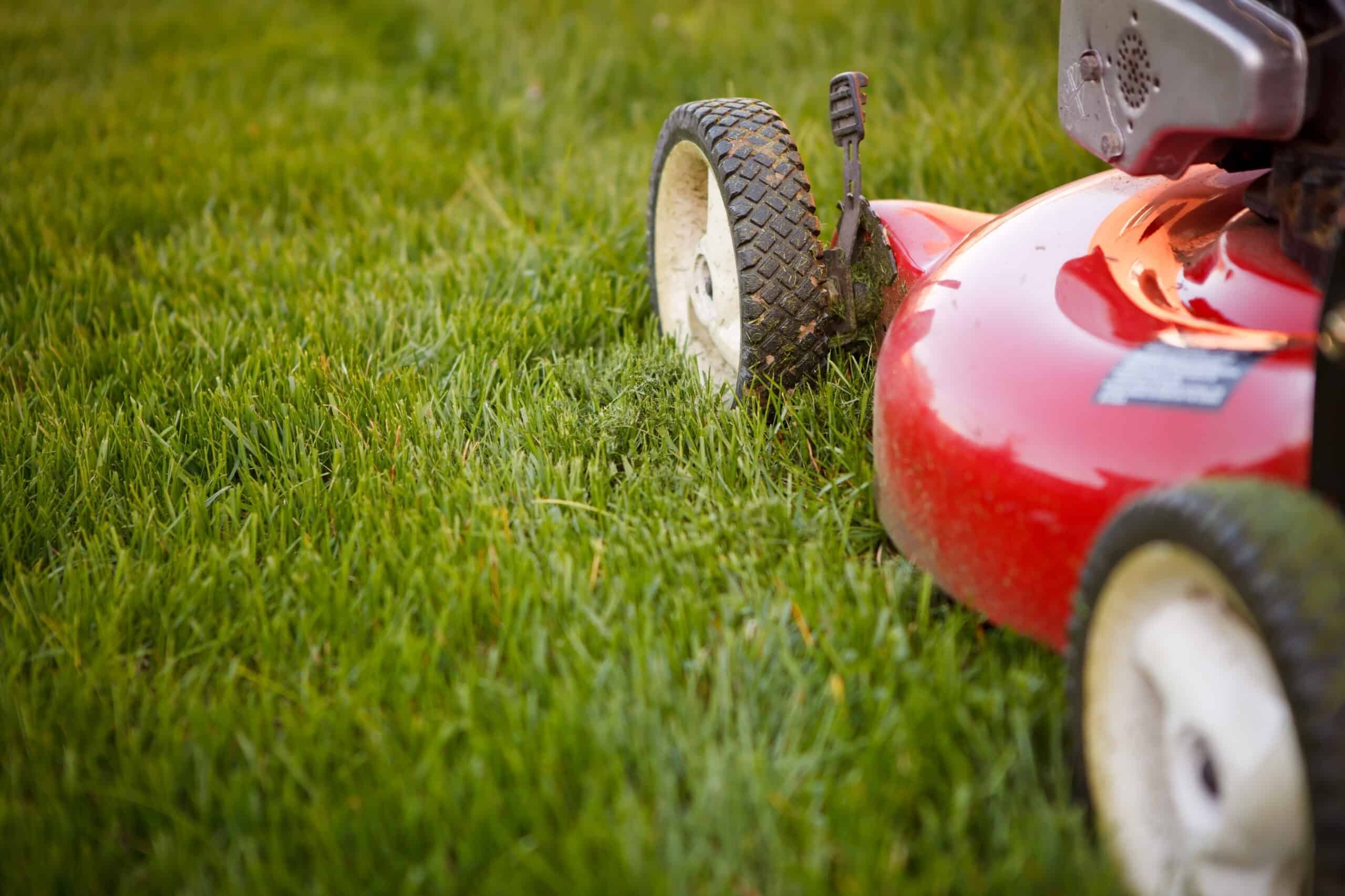 Enhance your outdoor space with our lawn maintenance services. We offer expert lawn care, from mowing and trimming to edging in Prosper, McKinney, and Frisco! Contact us today!