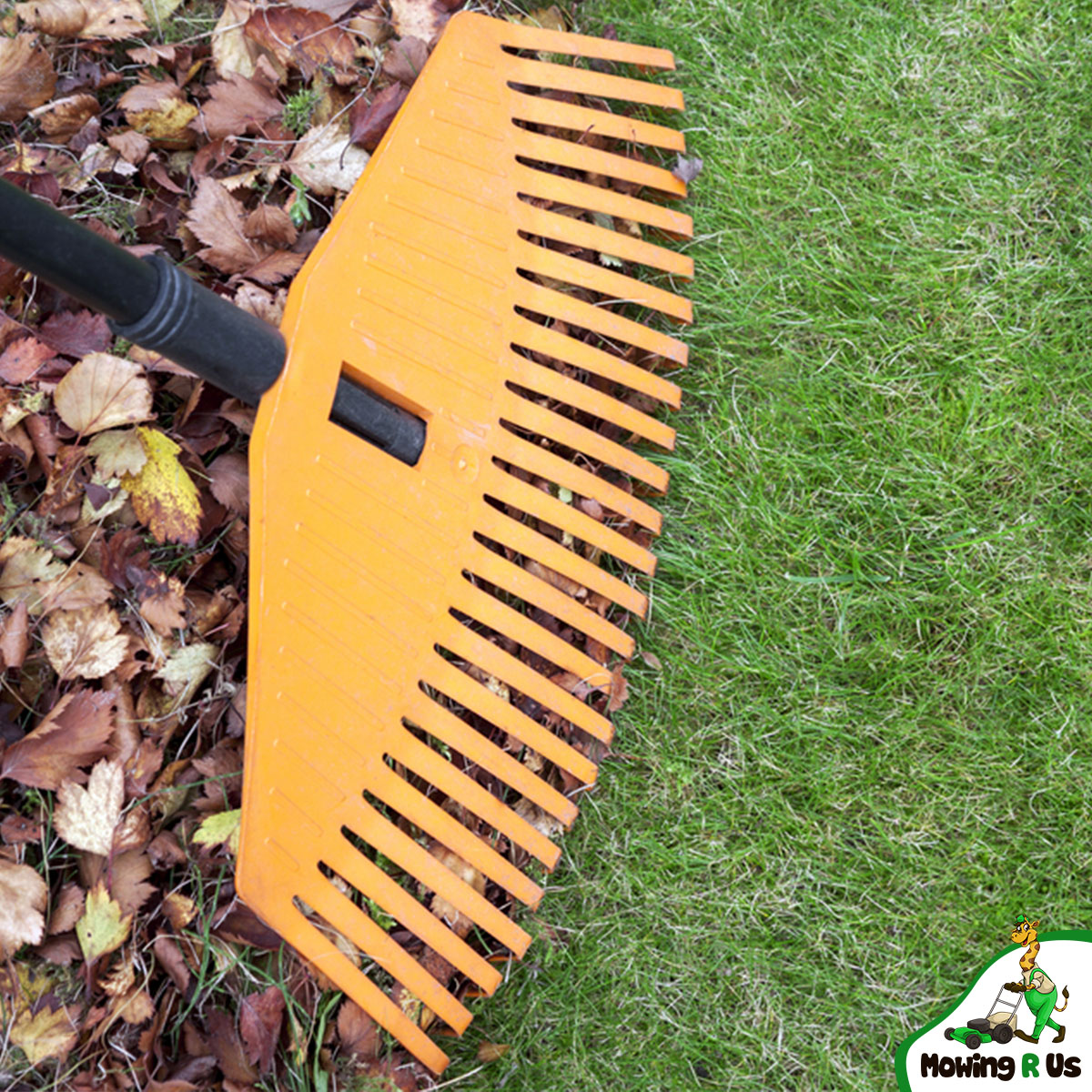 an orange rake separating green grass from brown leaves