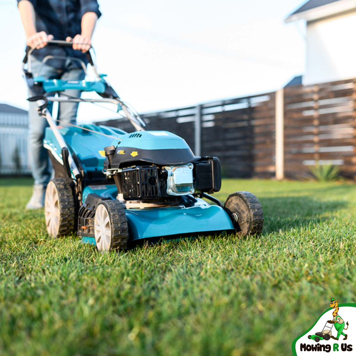 a person pushing a blue push mower in a backyard between a wooden privacy fence and shrubs