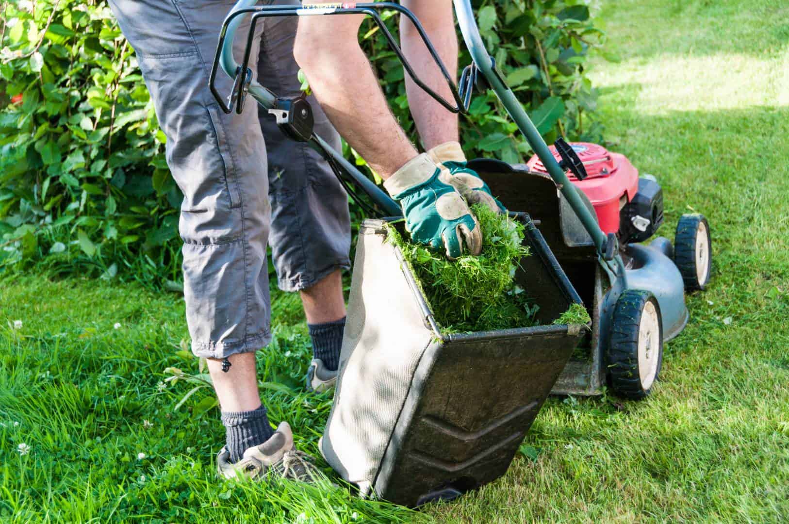 best lawn mowing company near Highland Village for lawn care and lawn service