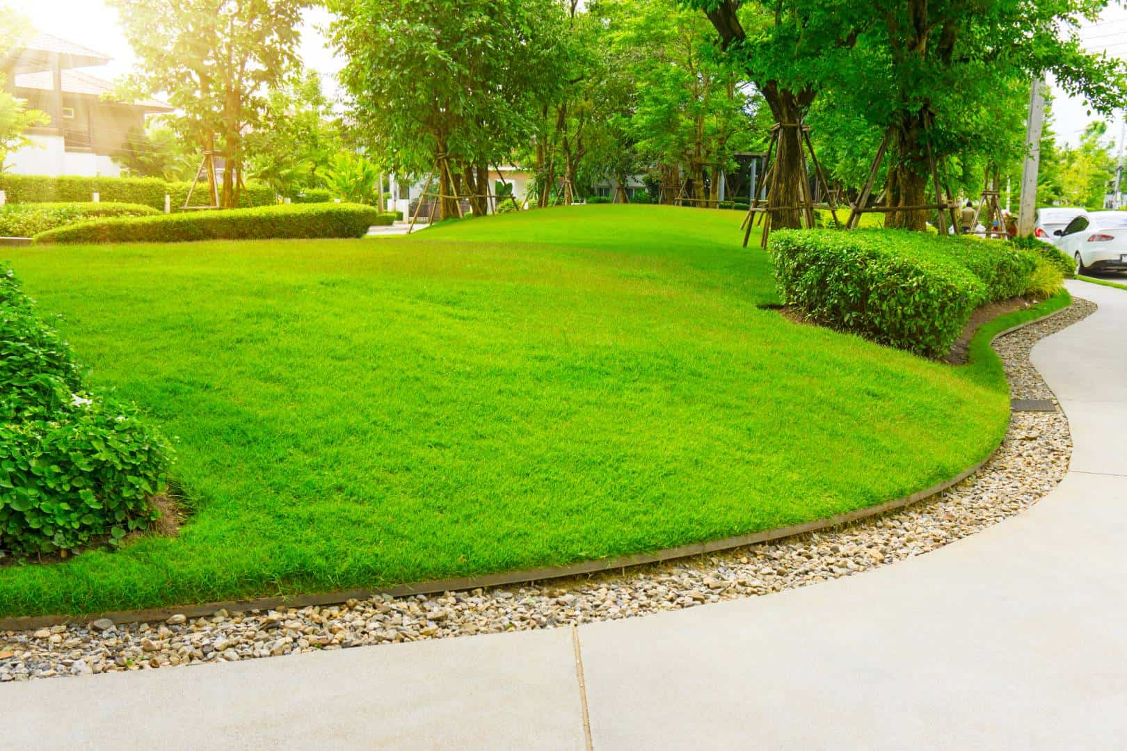 lawn mowing, lawn care, and lawn service professionals in Lewisville