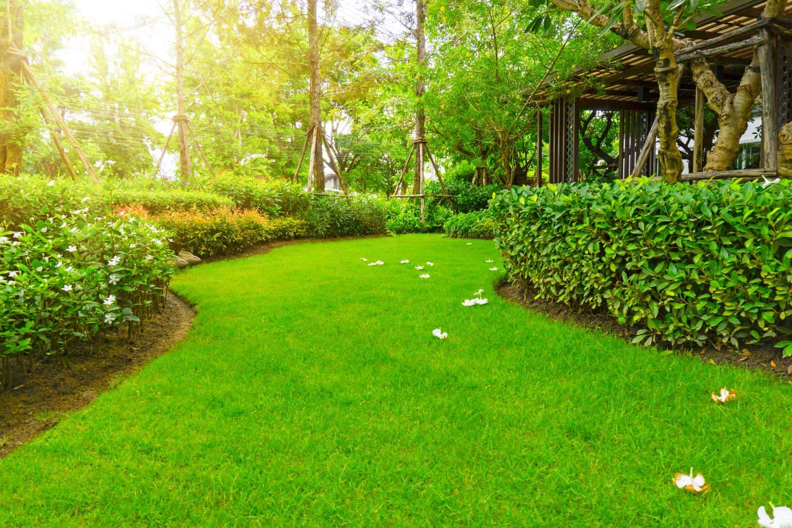 comprehensive lawn mowing, lawn care, and lawn service company in Lewisville, Texas<br />
