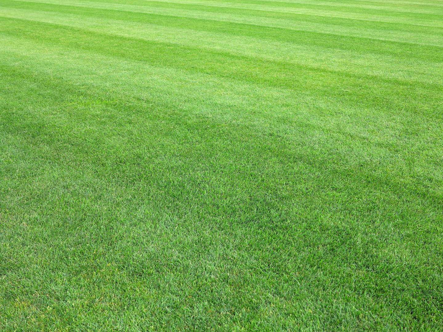 exceptional lawn mowing for quality lawn care and reliable lawn service in Plano<br />
