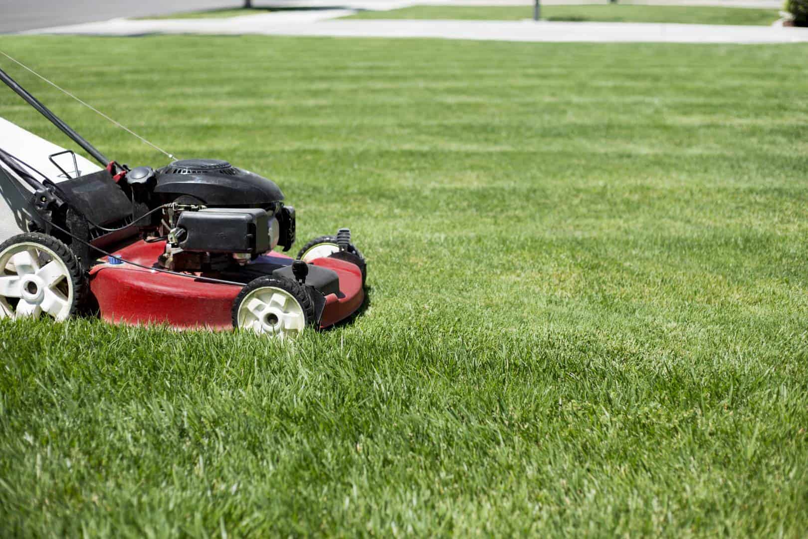 the best lawn mowing company in Princeton, Mowing R Us, offers lawn care and custom lawn service<br />
