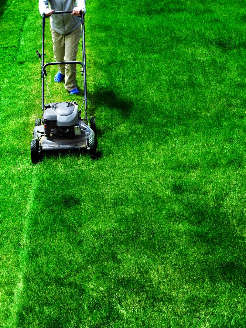  lawn mowing, lawn care, and lawn service in Princeton, TX<br />
