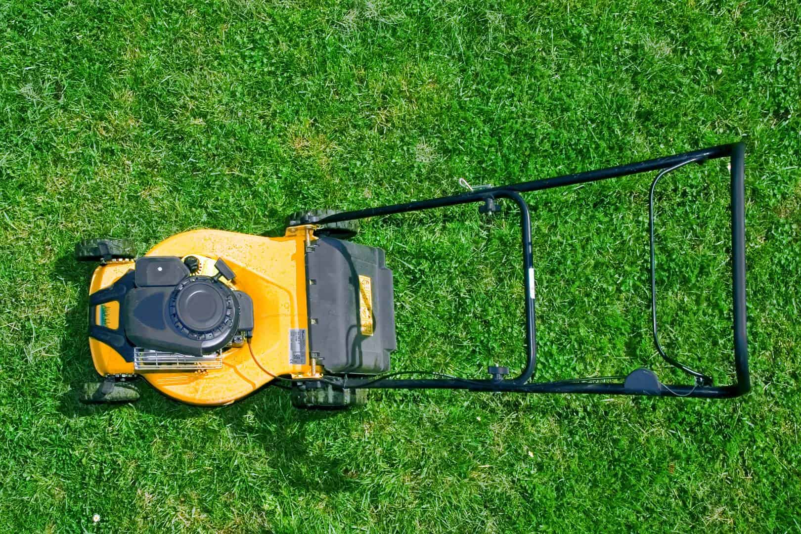 #1 Princeton company for comprehensive lawn mowing, lawn care, and lawn service<br />
