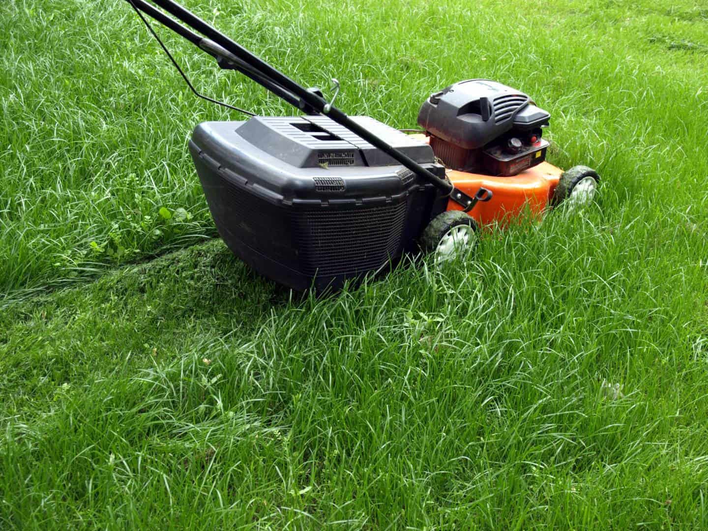  top-notch lawn mowing, lawn care, and lawn service near Princeton<br />
