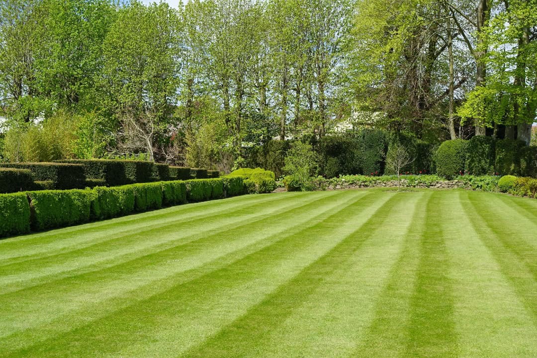 lawn mowing can be eco-friendly if you use the right strategies