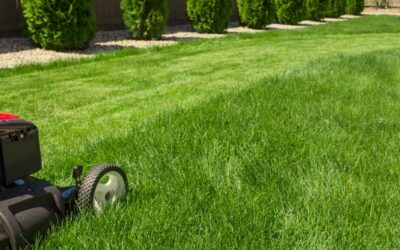 Innovations in Lawn Care: The Future of Lawn Mowing