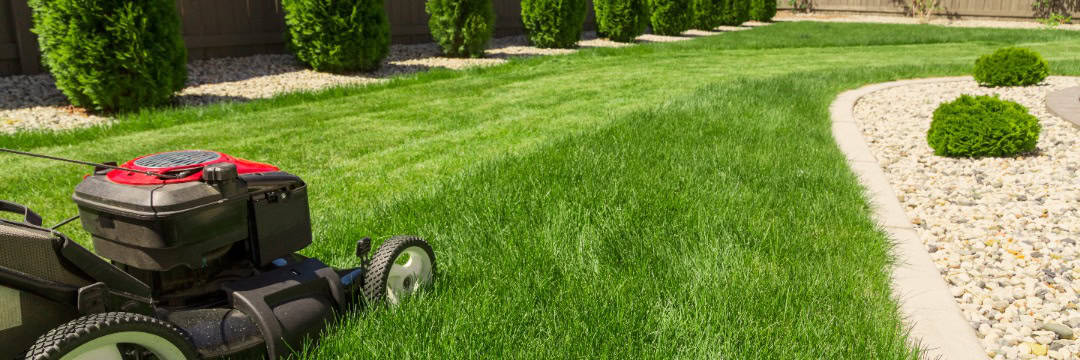 Innovations in Lawn Care: The Future of Lawn Mowing