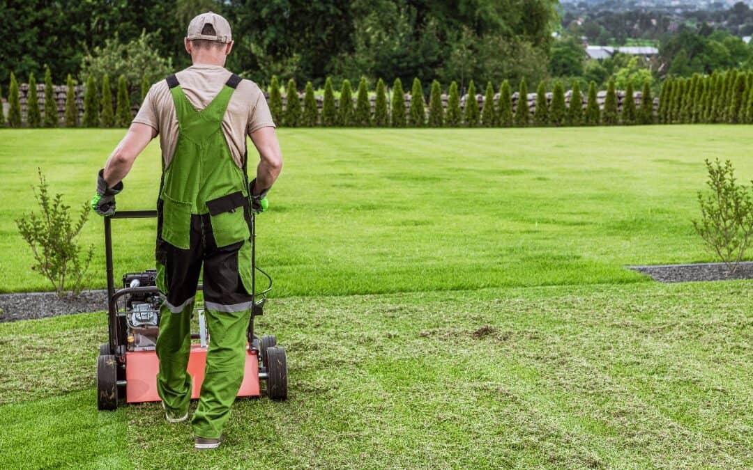 Who Offers Reliable Lawn Mowing Services in Frisco, TX? Mowing R Us