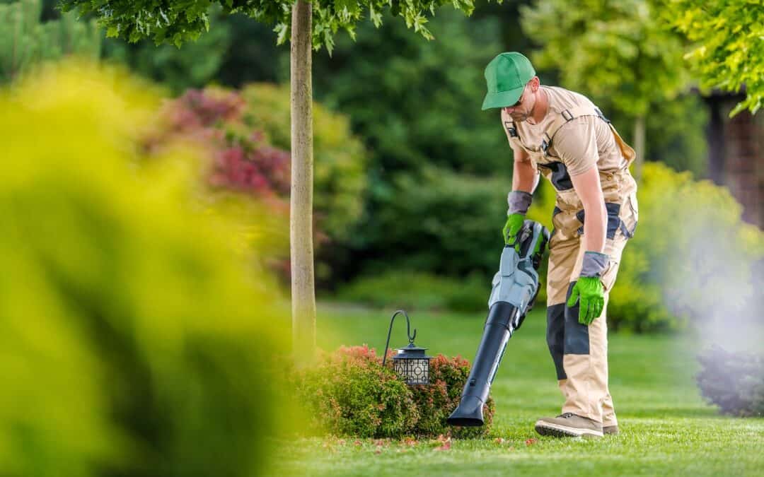 Need Professional Lawn Care in Frisco, TX? We’ve Got You Covered!