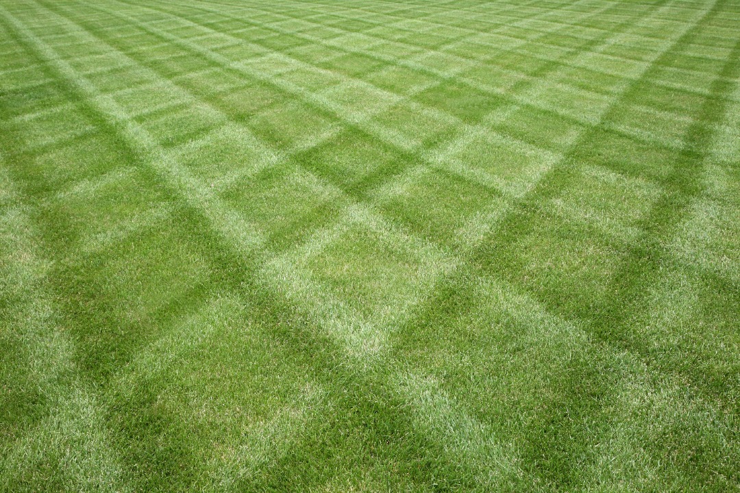 a checkerboard lawn mowing pattern