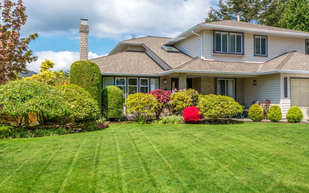 How to Make Your Lawn Green and Thick – Expert Tips for a Lush Yard