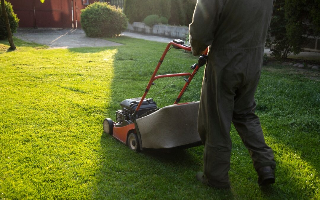 Top 3 Lawn Mowing Patterns – The Most Efficient Push Mower Strategies for Your Lawn