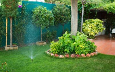 DIY Tips to Simplify and Improve Your Lawn Maintenance Routine