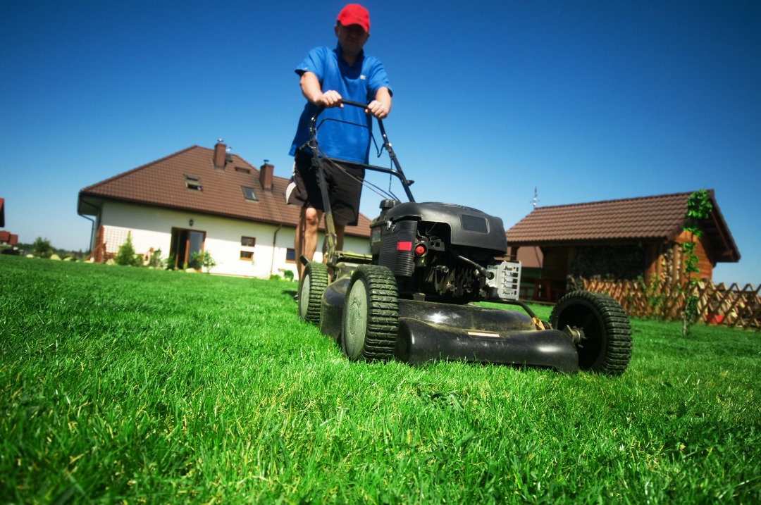 Man wearing red cap mows a green lawn with a black push mower in front of modern suburban homes under a clear blue sky.