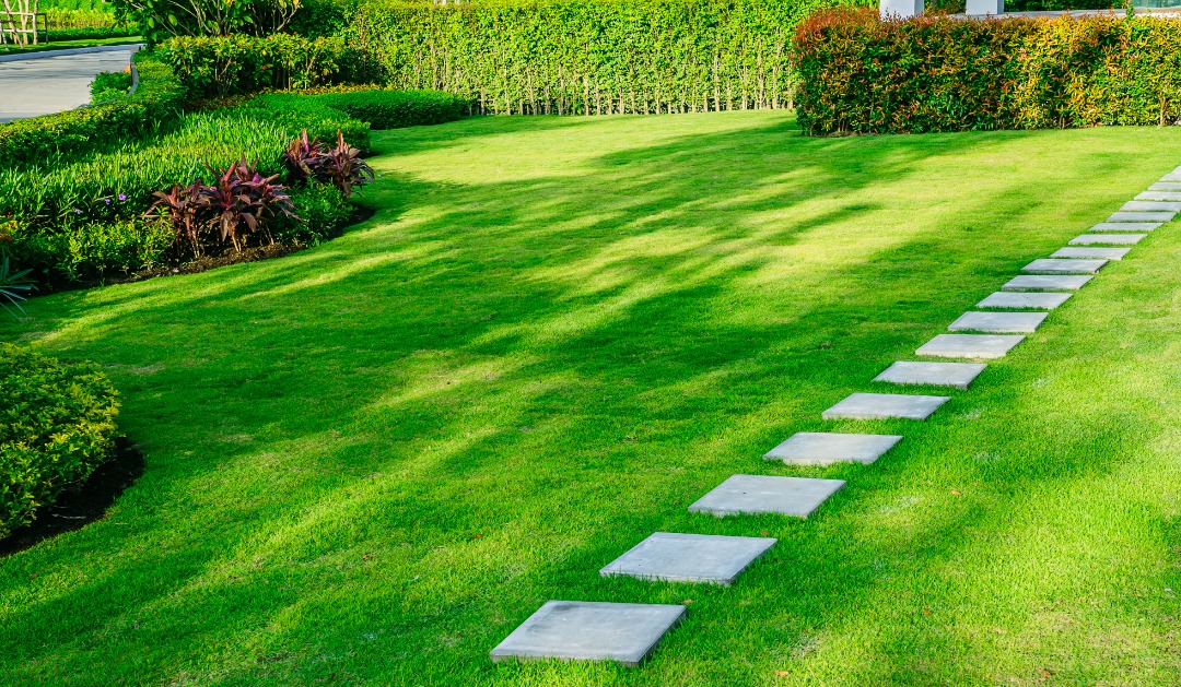 Lush green lawn with square stepping stones leading through manicured grass, bordered by hedges and colorful garden plants.