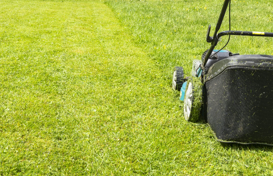 Rear view of push mower trimming tall grass, leaving a defined mowing path across a sunlit, uneven suburban lawn.