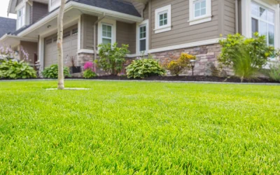 Mowing R Us service area - Mowing R Us How Does Lawn Maintenance Promote Growth for St. Augustine Grass?