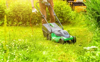 Mowing R Us service area 8 - Mowing R Us How Should You Perform Lawn Mowing During Water Restrictions?