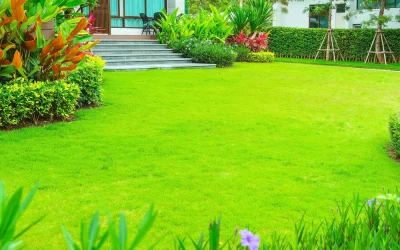 Mowing R Us lawn care frisco tx - Mowing R Us Essential Lawn Care For Yards Through North Texas Summer Heat