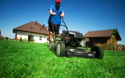 The Benefits of Using a Push Mower for Your Lawn Mowing Routine