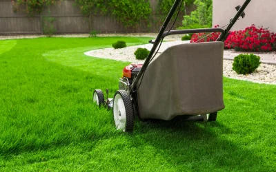 Mowing R Us lawn mowing frisco tx - Mowing R Us Smart Lawn Mowing Height For Frisco Summer Heat