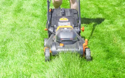Smart Lawn Mowing Fixes For Brown Frisco Grass After Cutting