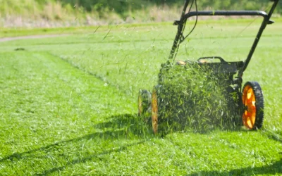 mowingrus service area - Mowing R Us The Benefits of Using a Push Mower for Your Lawn Mowing Routine