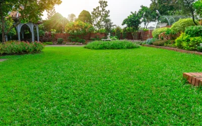 Helpful Lawn Maintenance for Clean Aubrey Yards Into Fall Season