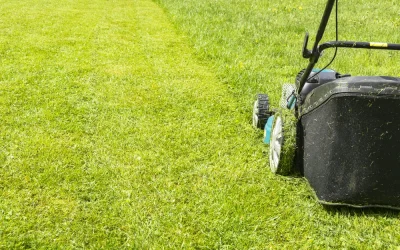 Smart Mowing Choices To Protect Small Yards Before Fall Rains